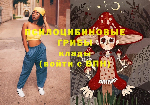 кристаллы Щигры