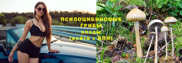 кристаллы Щигры