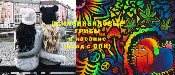 кристаллы Щигры