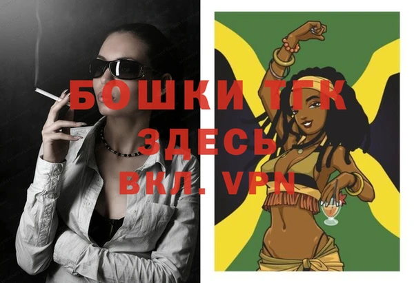 спиды Шали